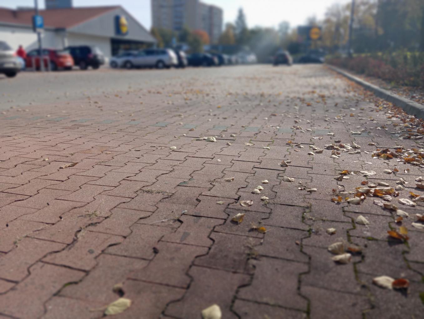 parkoanie
