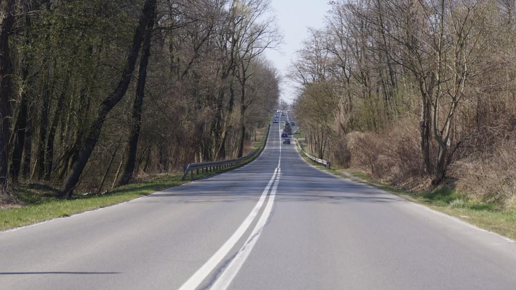 Coraz bliżej … rekordowa liczba zgłoszeń 