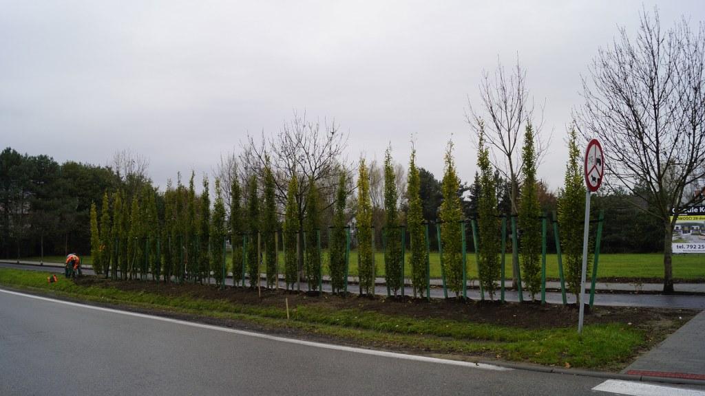zielone ekrany5
