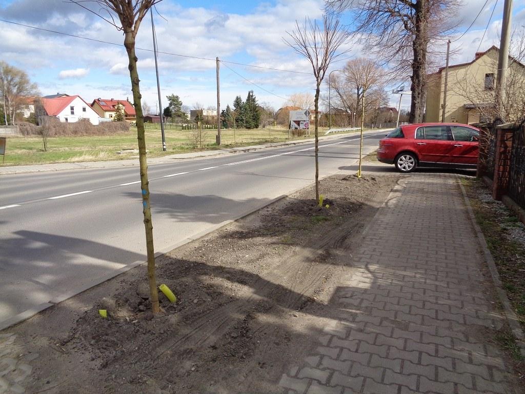 Daszynskiego 1