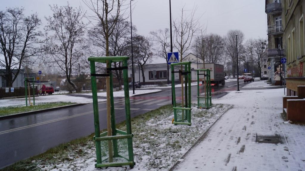zabrska głog 3