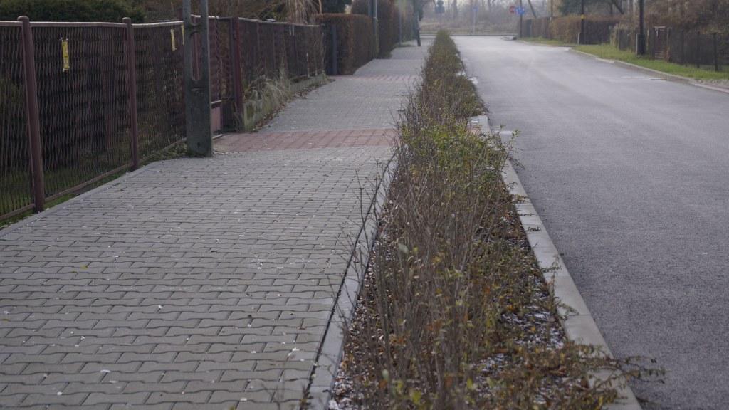 plocka