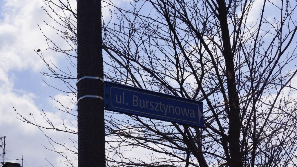 bursztynowa