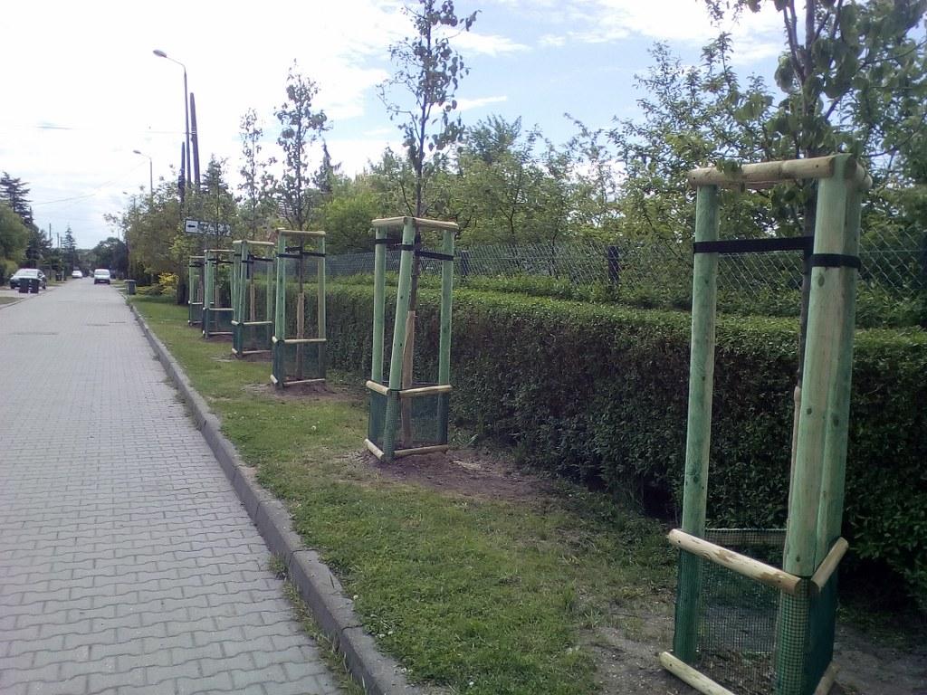 jalowcowa