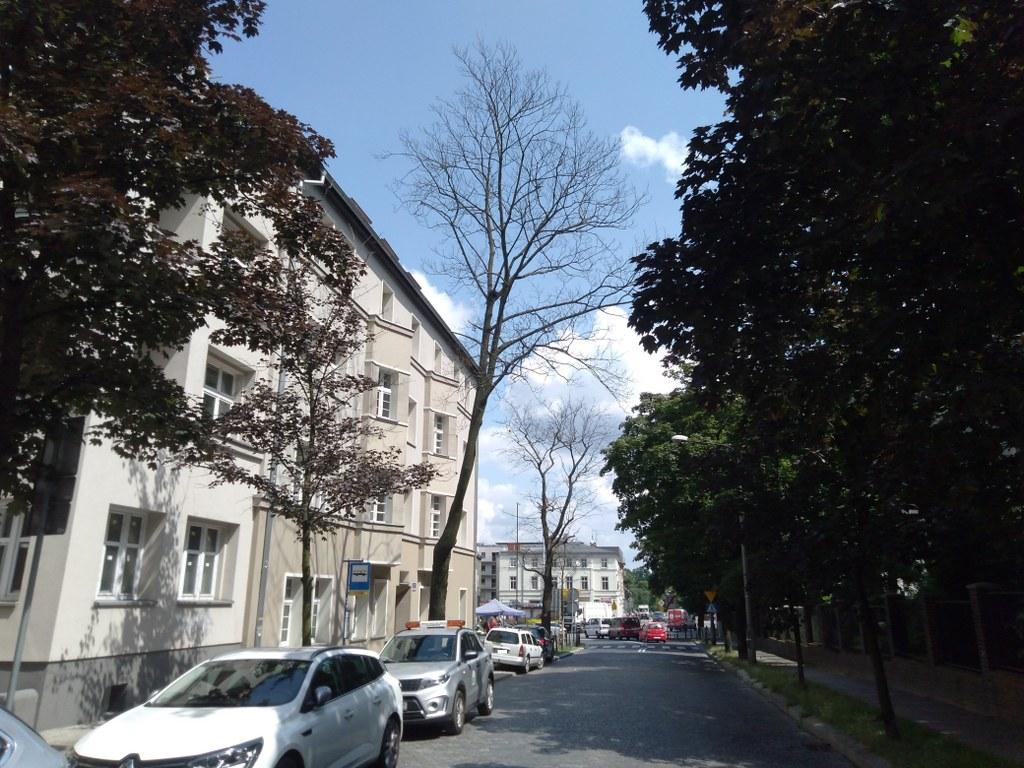 zastepstwo
