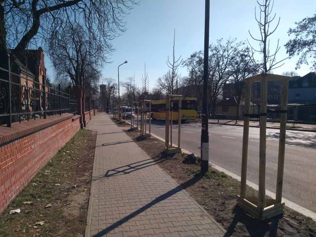 nasadzenia Poniatowskiego Okrzei