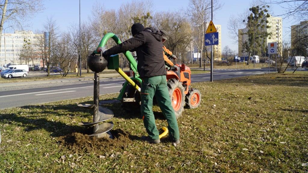 nasadzenia Pionierów