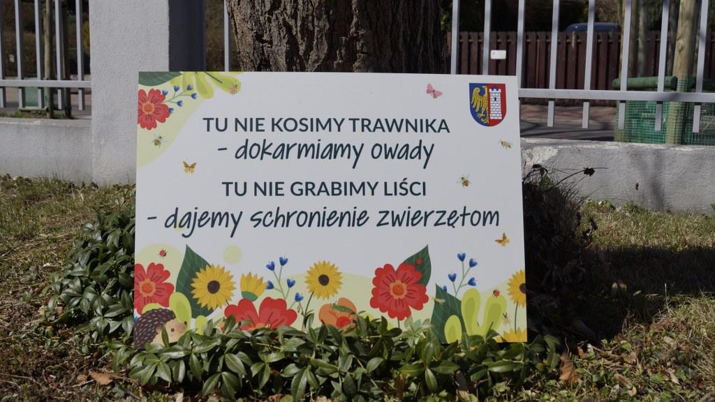 nie kosimy nie grabimy
