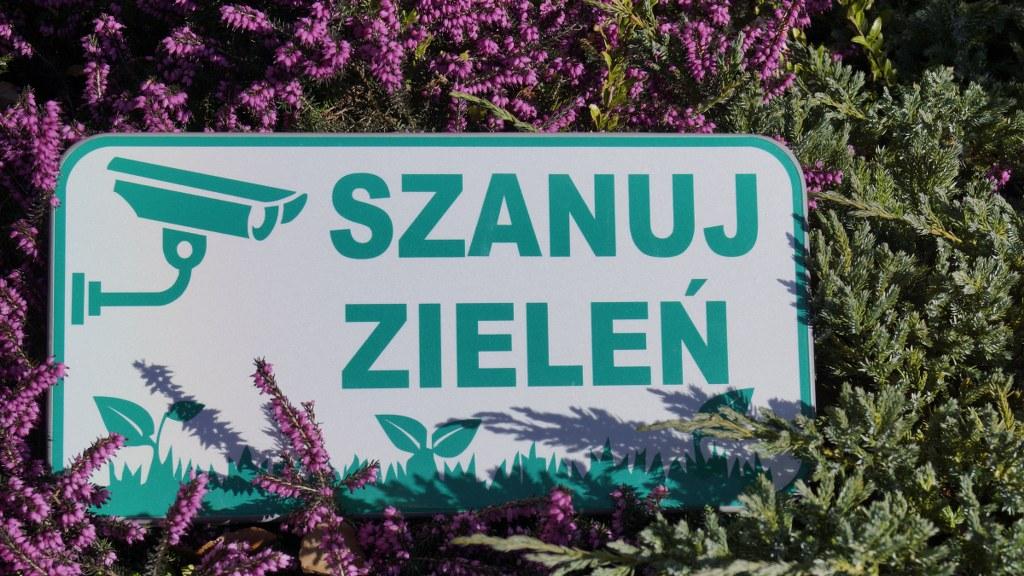 nie kosimy nie grabimy