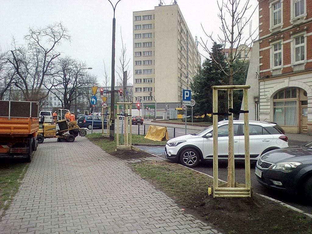 dunikowskiego nasadzenia
