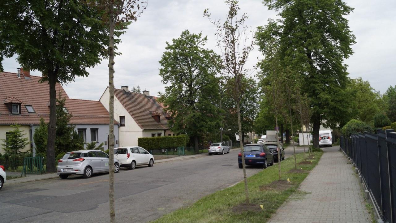 Partyzantow