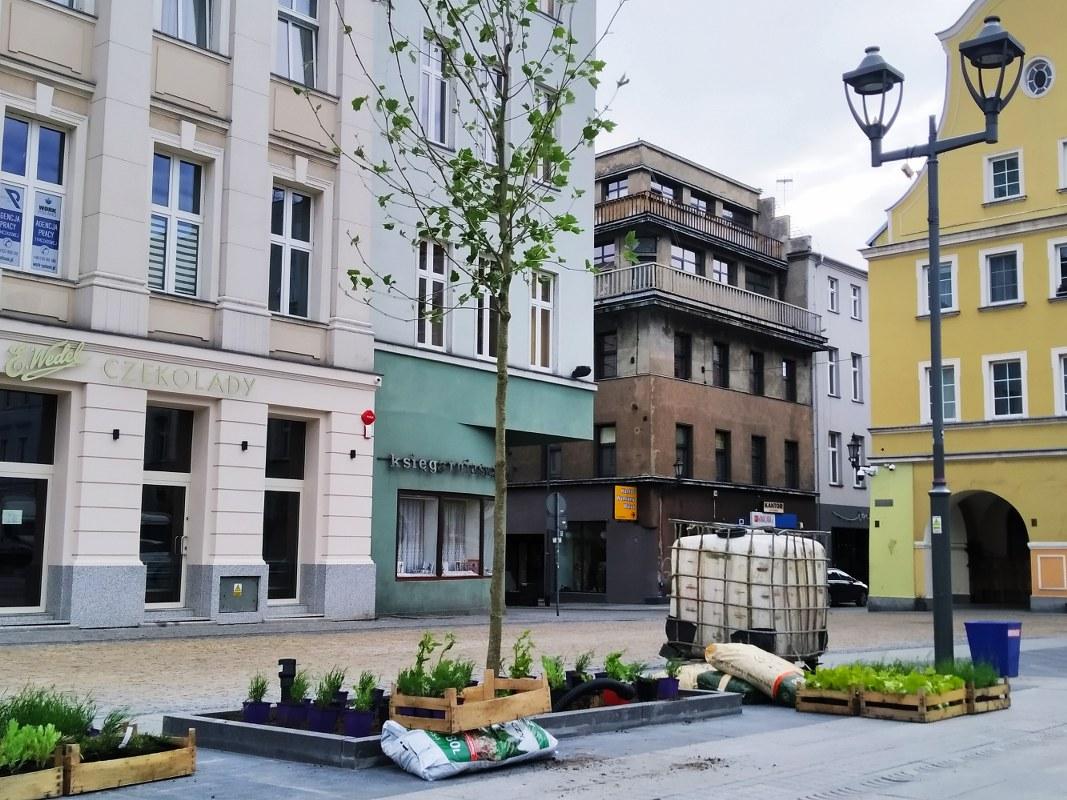 rynek byliny