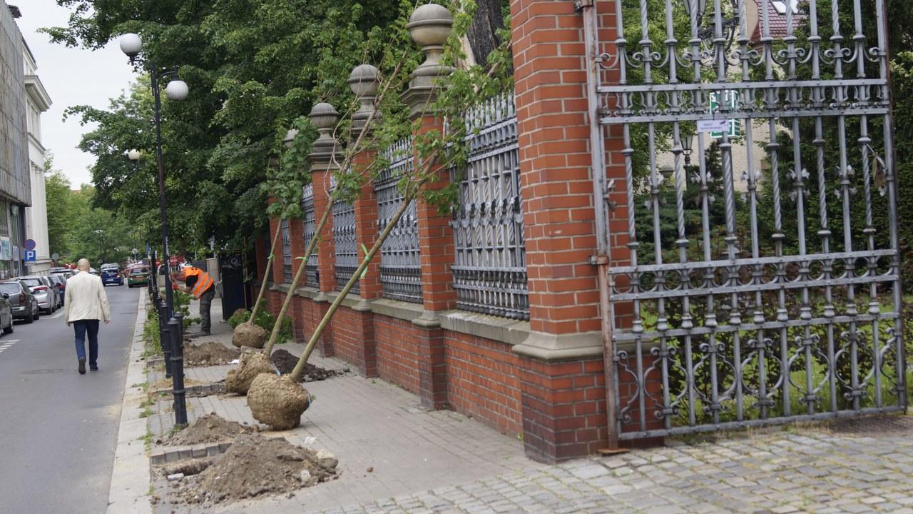 odbrukowywanie studzienna