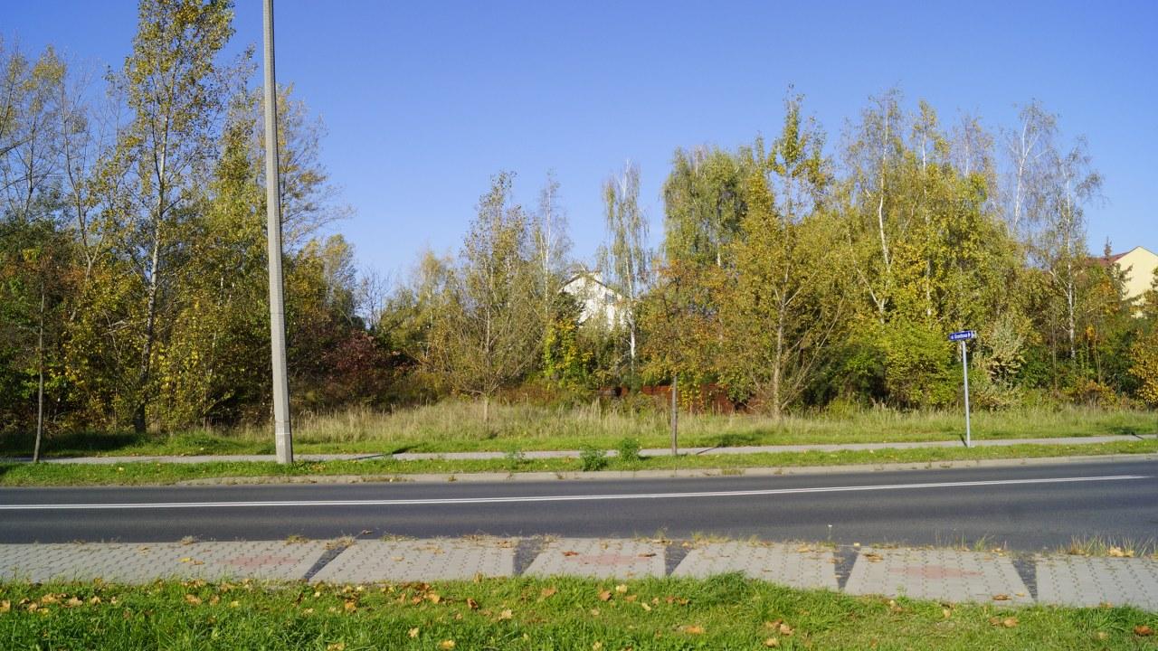 brzechwy