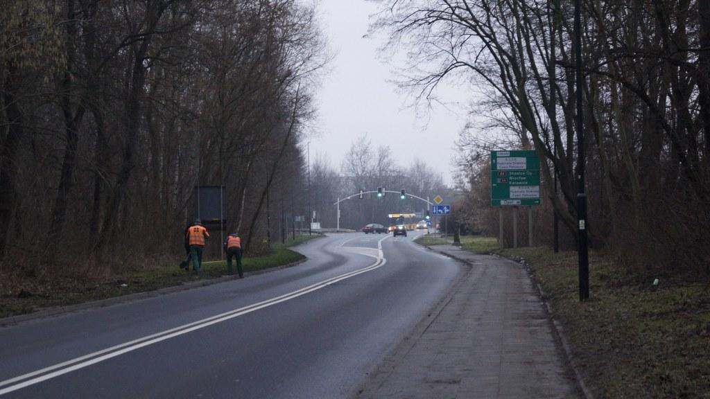 nasadzenia Łabędzka