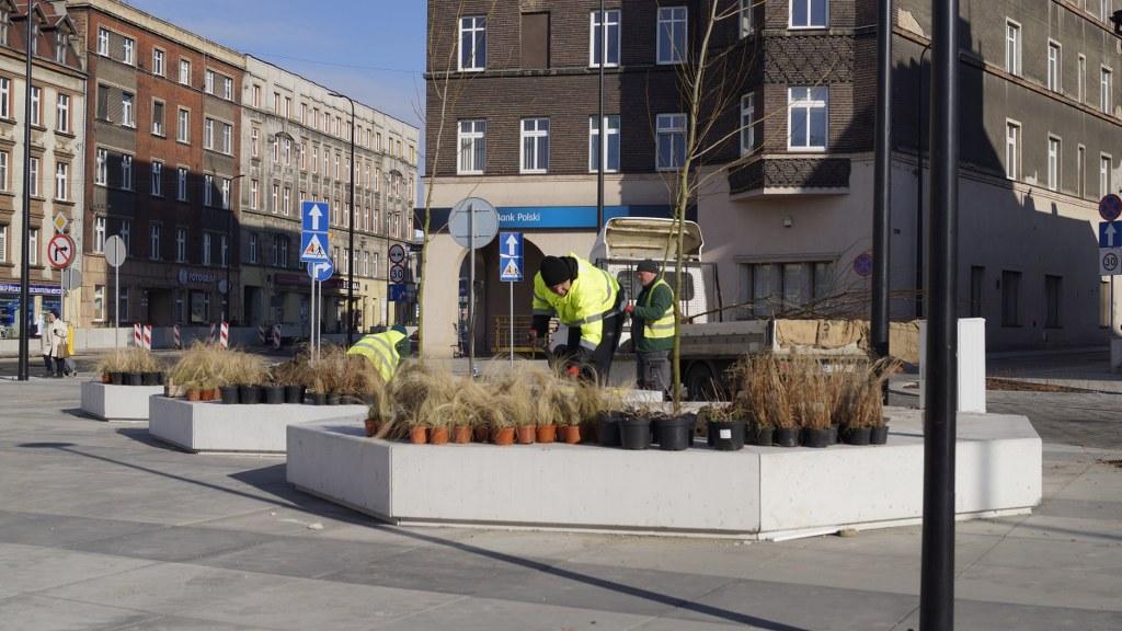 plac piastów