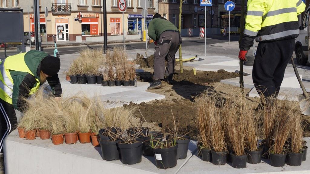 plac piastów