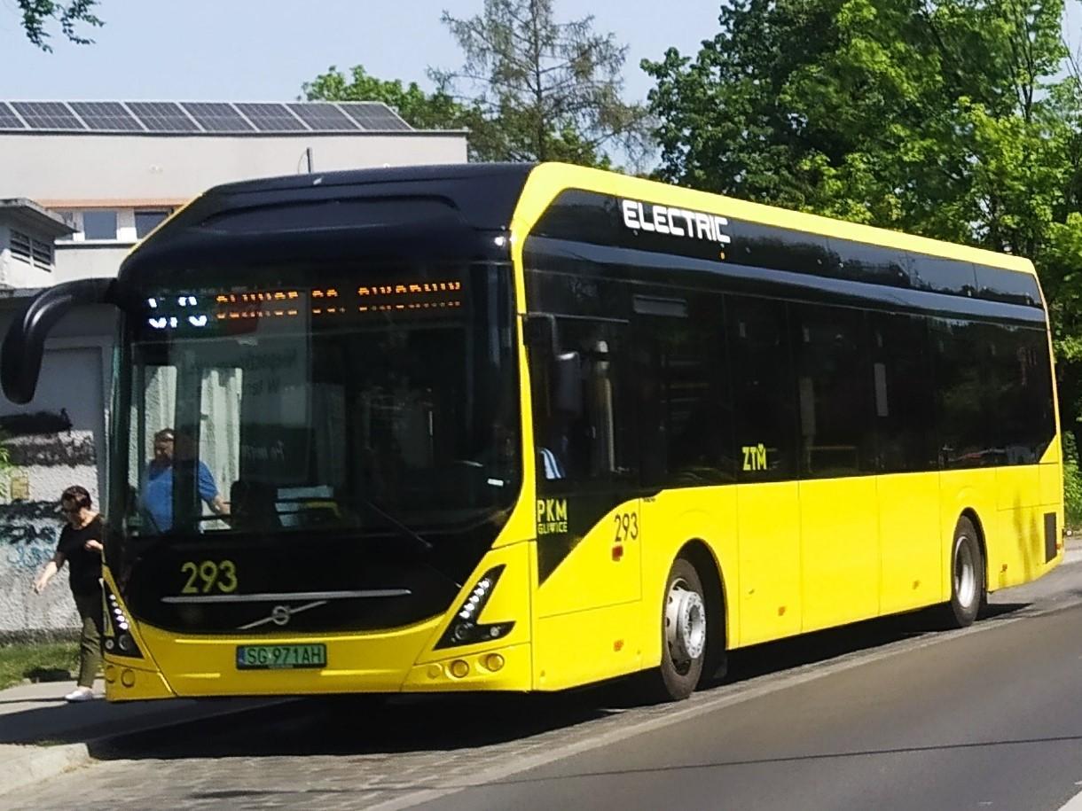 bus