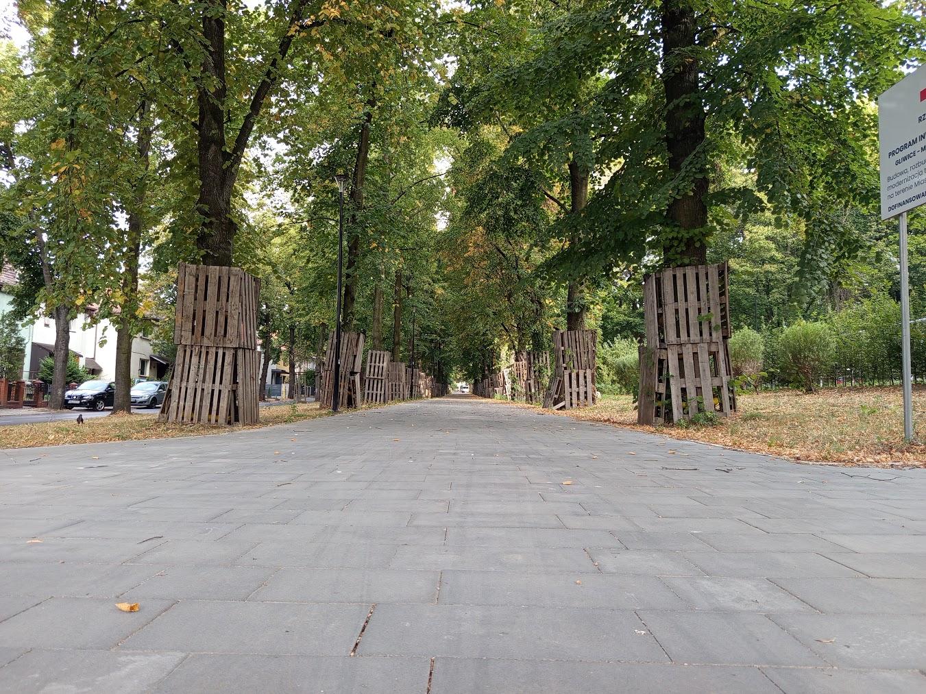 Kontynuujemy remont alei Mickiewicza