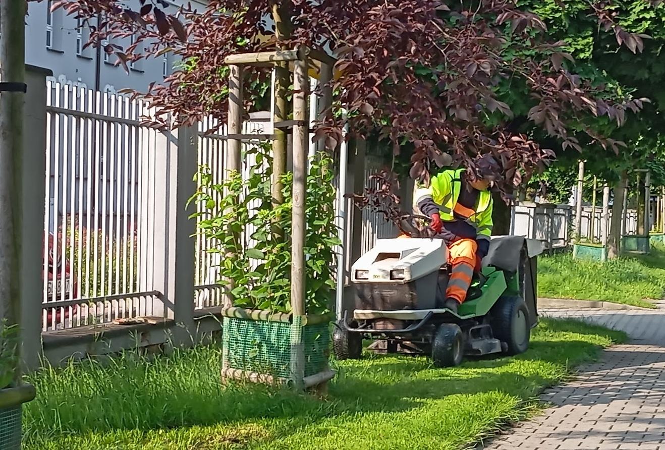 Jesienne porządki w zielonych pasach drogowych Gliwic