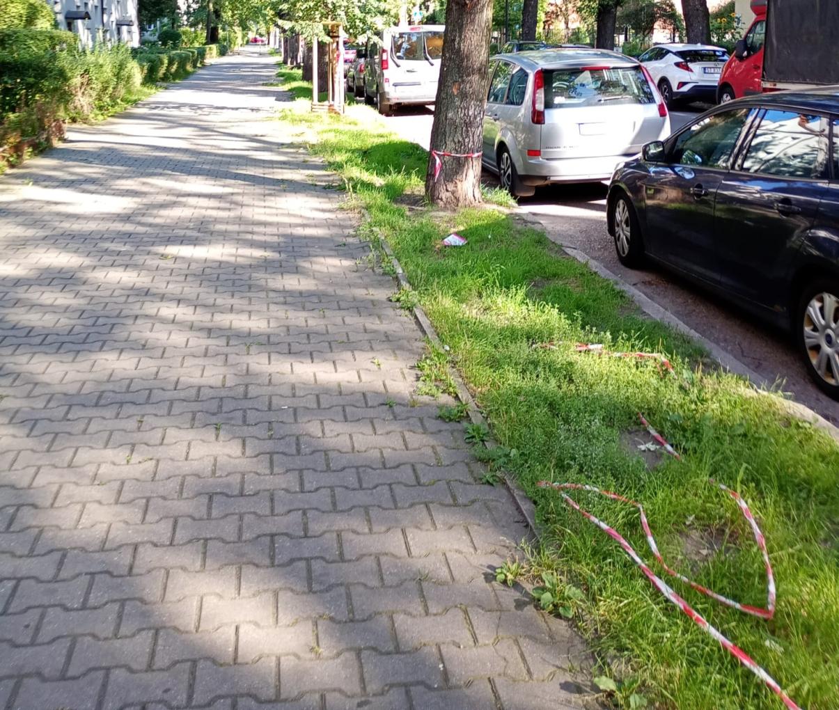 Uwaga na strefy prac przy drzewach - współpraca mieszkańców ma znaczenie