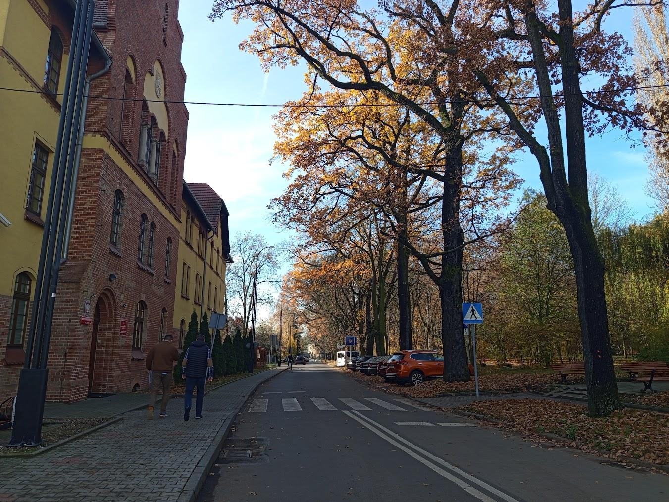 Prace pielęgnacyjne przy ul. Zawiszy Czarnego