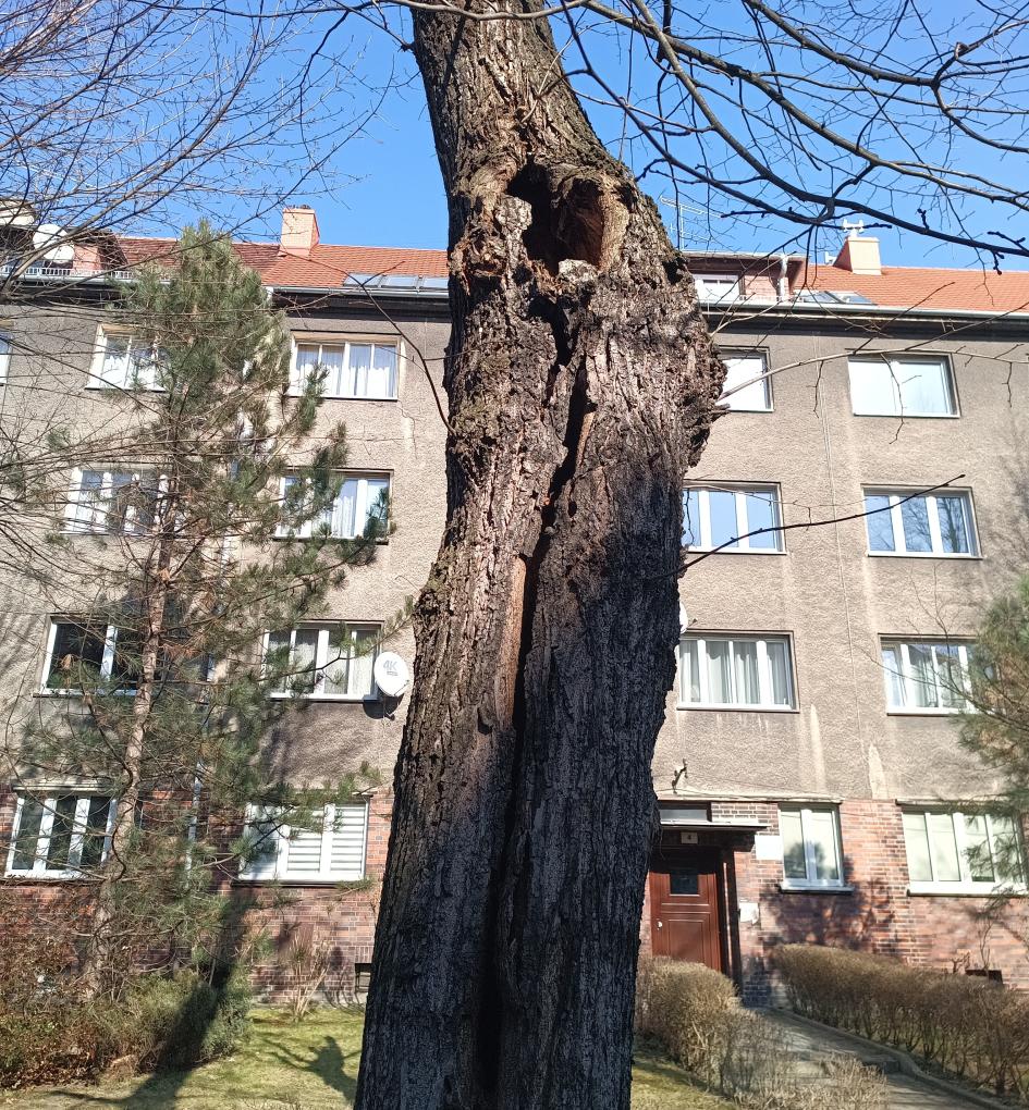 Dbamy nie tylko o drogi, ale o cały pas drogowy