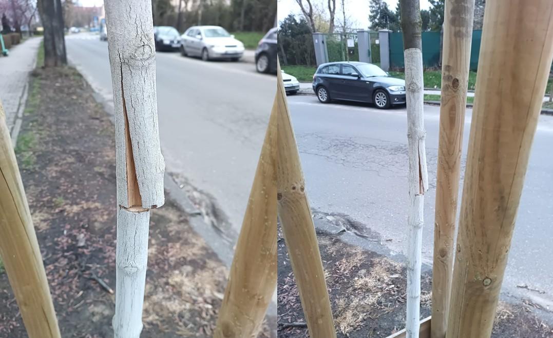 To już drugi w tym miesiącu akt wandalizmu. 