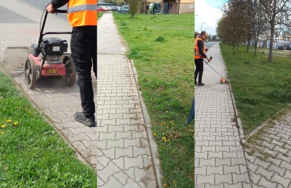 Przerosty traw i chwastów - cały czas z nimi walczymy.
