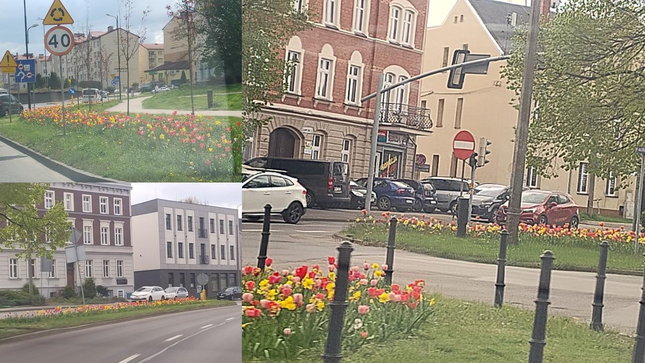 Kolorowa wiosna przy miejskich ulicach.