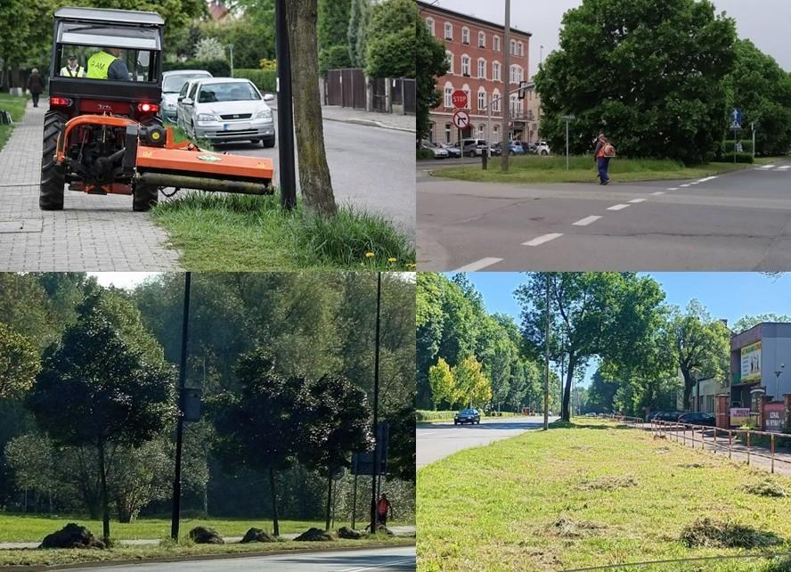2 miliony metrów kwadratowych do wykoszenia. Trwa "walka" z ekspresowo rosnącą zielenią.